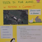 festa-di-fine-anno